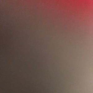 Meet your Posher, Lily